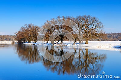 Water surface of the river in winter with reflection of trees. Winter landscape Stock Photo