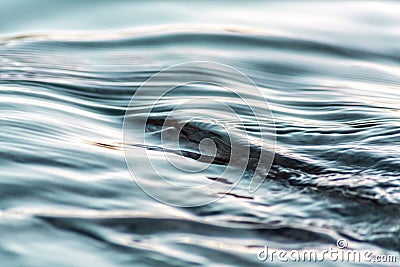 Water texture background close up Stock Photo