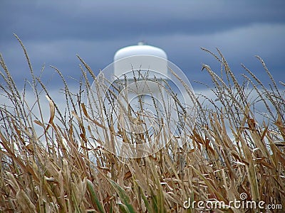 Water Tower in the Midwest Stock Photo