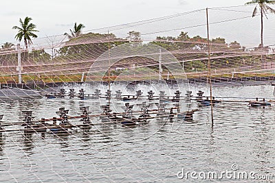 Water treatment of Shrimp Farms Stock Photo