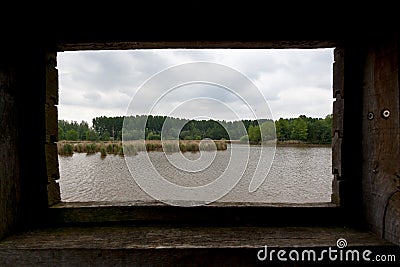Reed wooden hunting cabin shore lake nature reserve, het Vinne, Zoutleeuw, Belgium Stock Photo