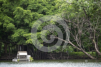 Water turbine : The Paddle water wheel Aerator on clean pond with greenery tree reflection in Rot Fai park, Bangkok, Thailand. Stock Photo