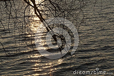 water wave lake detail sunset dark Stock Photo