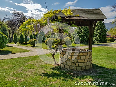 Water well with small tree growing next to it in city park Stock Photo