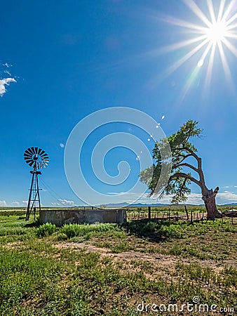 Water Windmill And Tree Stock Photo