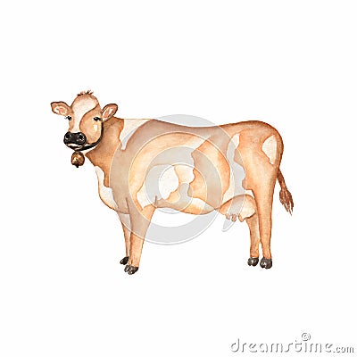 Watercolo hand drawn yellow and white cow. Farms animal. Cute domestic pet Stock Photo