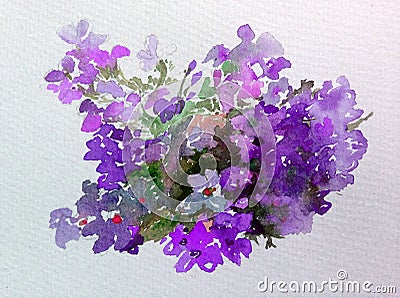 Watercolor abstract background floral flower phlox beauty decoration hand beautiful wallpaper Stock Photo