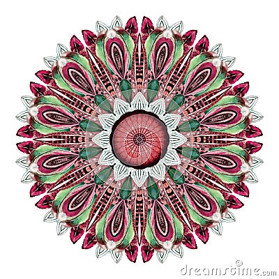 Watercolor abstract mandala. Circular pattern of feathers isolated on white background. Stock Photo