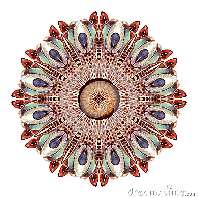 Watercolor abstract mandala. Circular pattern of feathers isolated on white background. Stock Photo