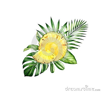Watercolor ananas fruits on monstera leaf. Tropical arrangement with sliced fruits and palm leaves. Realistic botanical Cartoon Illustration