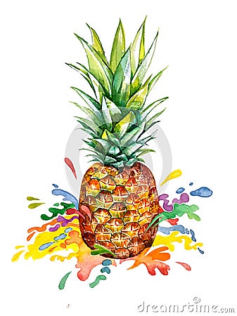 Watercolor ananas with rainbow splash Stock Photo