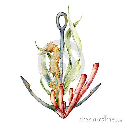 Watercolor anchor, coral and seahorse composition. Hand painted underwater illustration with seaweed branch, leaves Cartoon Illustration