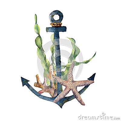 Watercolor anchor with laminaria branch and coral reef. Hand painted underwater illustration with starfish, seaweed Cartoon Illustration