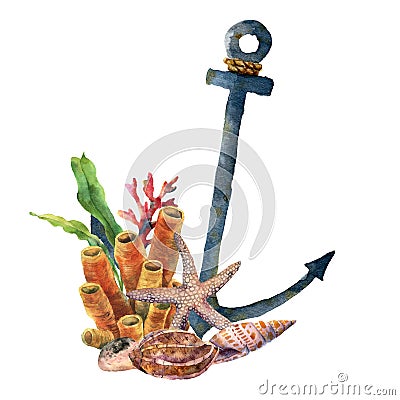 Watercolor anchor with starfish and coral. Hand painted underwater illustration with laminaria branch, coral reef and Cartoon Illustration