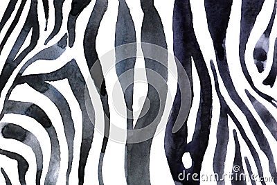Watercolor animal background with white-black zebra`s print Stock Photo