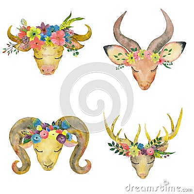 Watercolor animals set on a white background Stock Photo