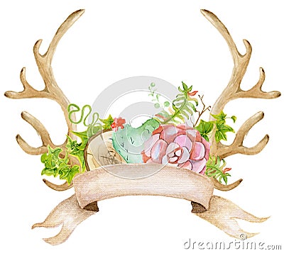 Watercolor antler with succulent, cactus, and leaves. Stock Photo