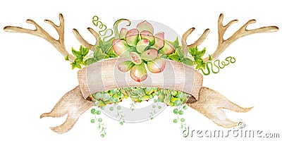 Watercolor antler with succulent, cactus, and leaves. Stock Photo