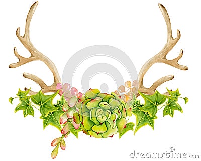 Watercolor antler with succulent, cactus, and leaves. Stock Photo