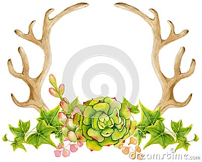 Watercolor antler with succulent, cactus, and leaves. Stock Photo