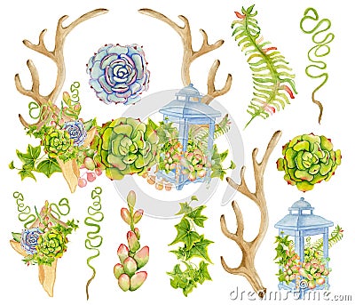 Watercolor antler with succulent and fern bouquet in the blue lantern. Stock Photo