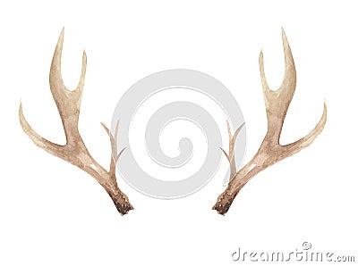 Watercolor Antlers Deer Bone Painted Neutral Horns Natural Stock Photo