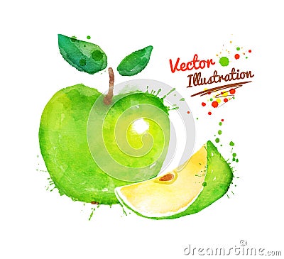 Watercolor apple Vector Illustration