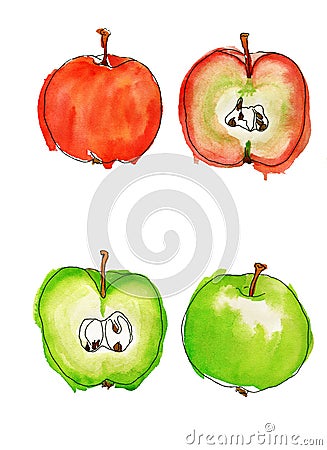 Watercolor apples Stock Photo