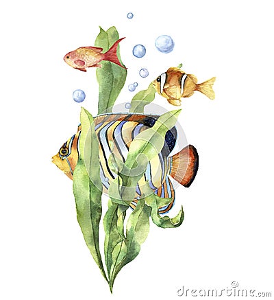 Watercolor aquarium card with fish. Hand painted underwater print with tropical fish, seaweed branch and air bubbles Stock Photo