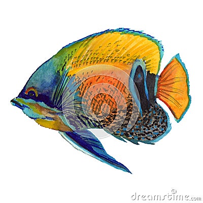 Watercolor aquatic underwater colorful tropical fish set. Red sea and exotic fishes inside. Stock Photo