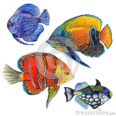 Watercolor aquatic underwater colorful tropical fish set. Red sea and exotic fishes inside. Stock Photo