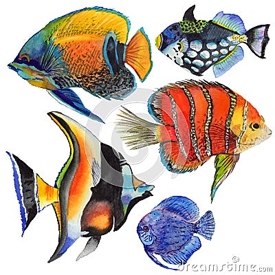 Watercolor aquatic underwater colorful tropical fish set. Red sea and exotic fishes inside. Stock Photo