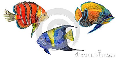 Watercolor aquatic underwater colorful tropical fish set. Red sea and exotic fishes inside. Stock Photo