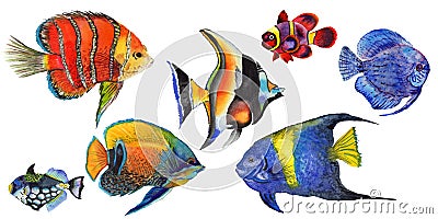 Watercolor aquatic underwater colorful tropical fish set. Red sea and exotic fishes inside. Stock Photo