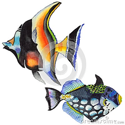 Watercolor aquatic underwater colorful tropical fish set. Red sea and exotic fishes inside. Stock Photo