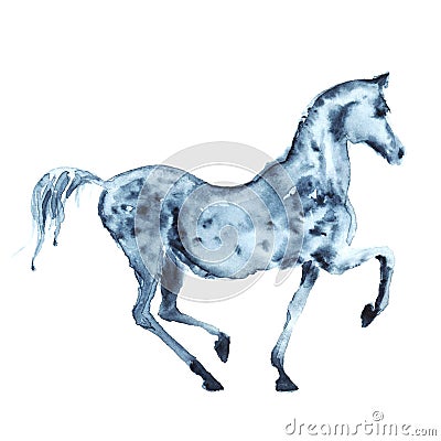 Watercolor arabian dapple grey horse Stock Photo