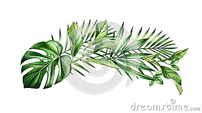 Watercolor arch of tropical leaves. Jungle greenery in horizontal arrangement. Exotic palm branches, monstera, isolated Cartoon Illustration