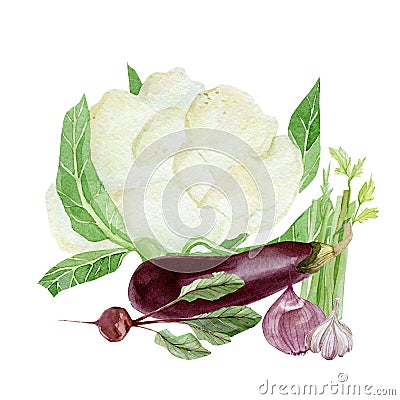 Watercolor arragement vegetable food. Hand painted vegeterian healthy food for design menu, veggie blog Stock Photo