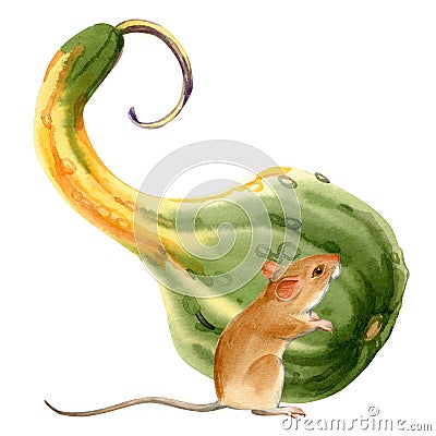 Watercolor art of beautiful portrait of mouse and pumpkin on white background. For posters, textile design, postcard Cartoon Illustration