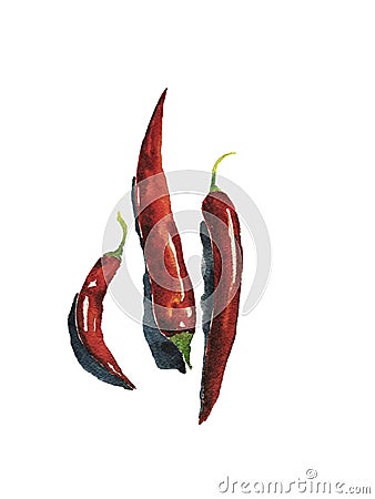 Watercolor art of three chilli peppers. Art can be used for menu design Stock Photo