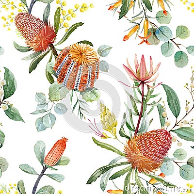 Watercolor australian banksia floral pattern Stock Photo