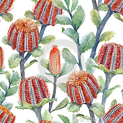 Watercolor australian banksia vector pattern Vector Illustration