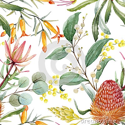 Watercolor australian banksia vector pattern Vector Illustration