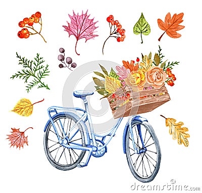Watercolor autumn bicycle and colorful leaves in a wooden basket. Cute blue bike with fall foliage bouquet and roses on white Stock Photo