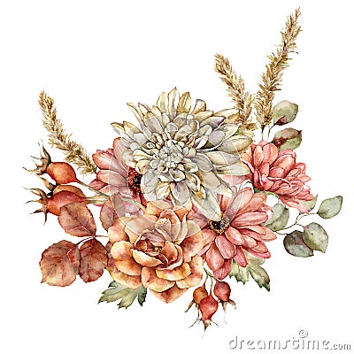 Watercolor autumn bouquet of aster, dahlia, rose, leaves and pampas grass. Hand painted meadow flowers isolated on white Cartoon Illustration