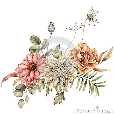 Watercolor autumn bouquet of dahlia, rose, aster, poppy, anise and leaves. Hand painted meadow flowers isolated on white Cartoon Illustration