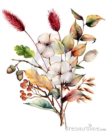 Watercolor autumn bouquet with plants, flowers and berries. Hand painted cotton flowers, lagurus, acorn, leaves and Cartoon Illustration