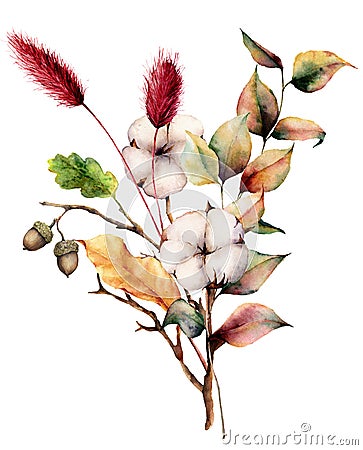 Watercolor autumn bouquet with plants and flowers. Hand painted cotton flowers, lagurus, acorn, leaves and branches Cartoon Illustration