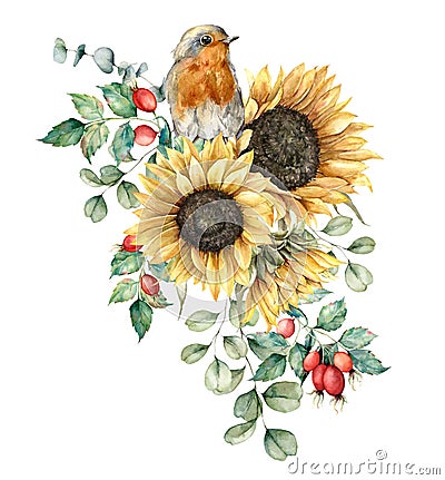 Watercolor autumn bouquet with robin redbreast, sunflowers, leaves and dogroses. Hand painted rustic card isolated on Cartoon Illustration