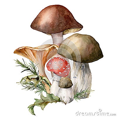 Watercolor autumn composition with mushrooms. Hand painted amanita muscaria, chanterelle and boletus isolated on white Cartoon Illustration